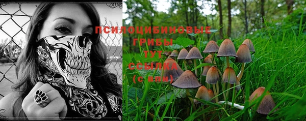 амф Алексеевка