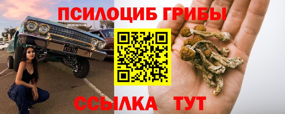 Боровичи  Галлюциногенные грибы GOLDEN TEACHER  Вход с VPN 
